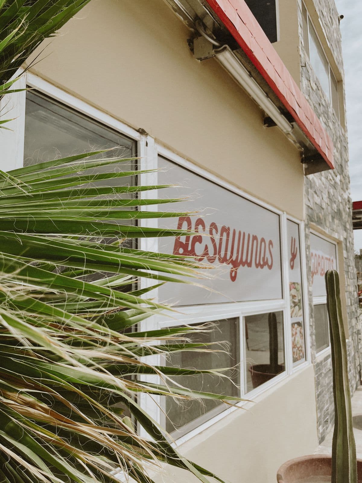 Noas Hotel imagen 19